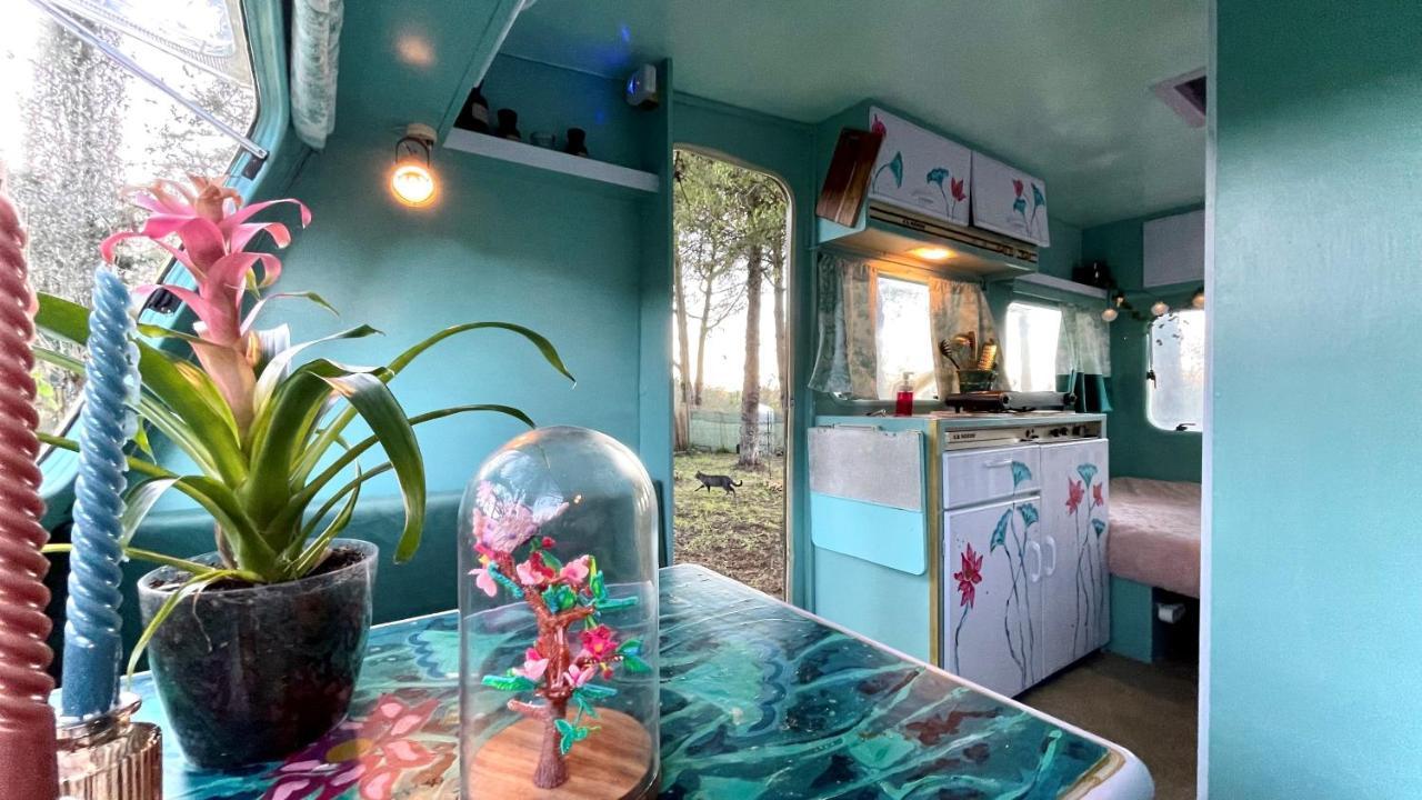 Ir Por Ai Arrabida Hotel Azeitao Kültér fotó