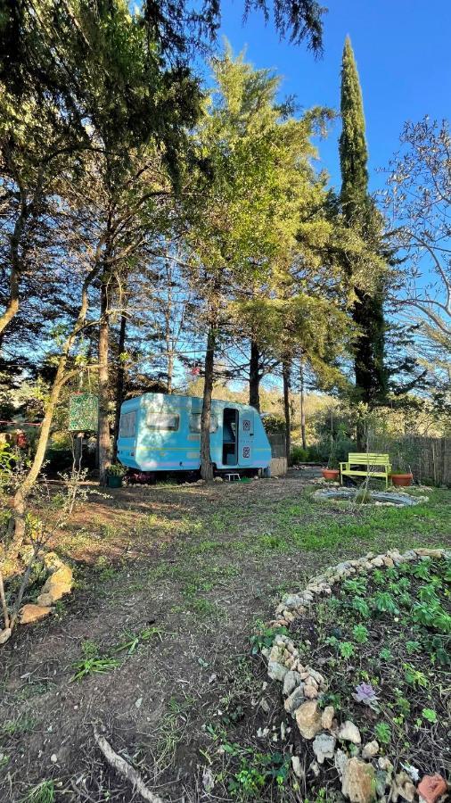 Ir Por Ai Arrabida Hotel Azeitao Kültér fotó