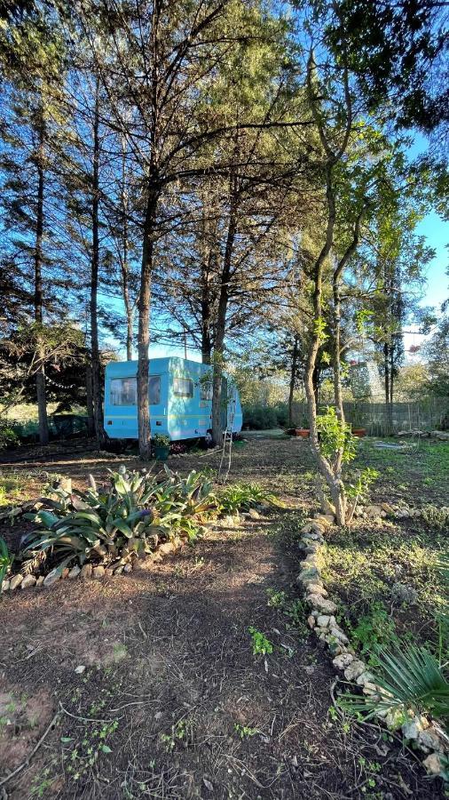 Ir Por Ai Arrabida Hotel Azeitao Kültér fotó